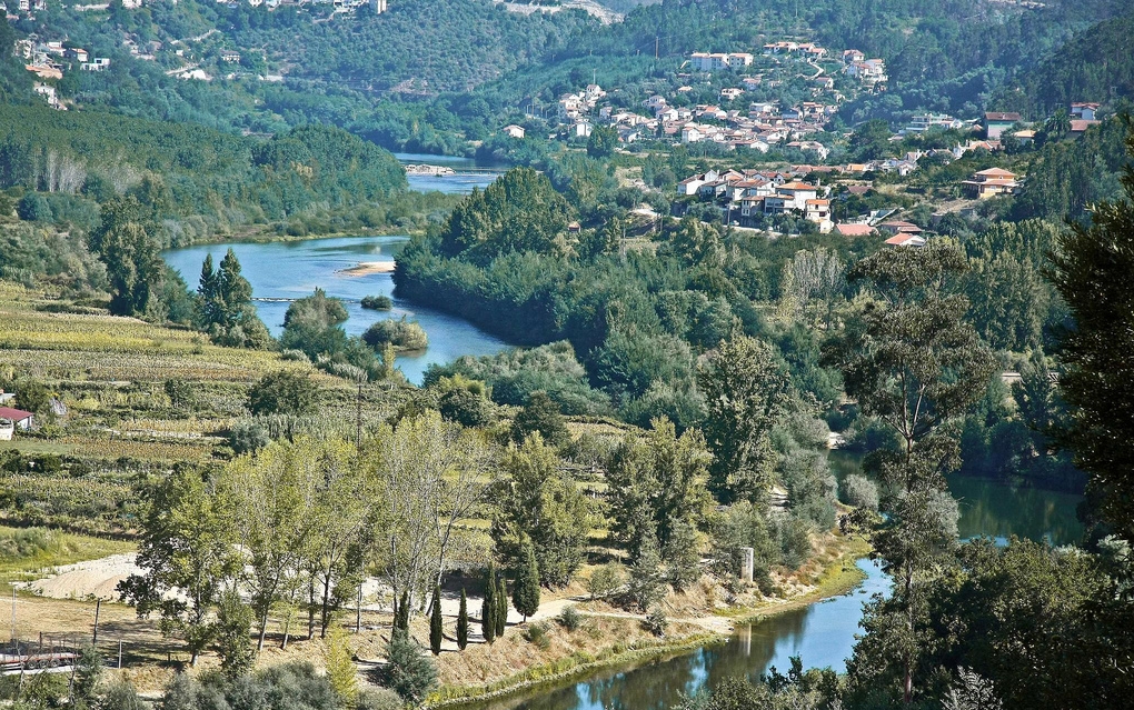 Rio Mondego Rio Mondego